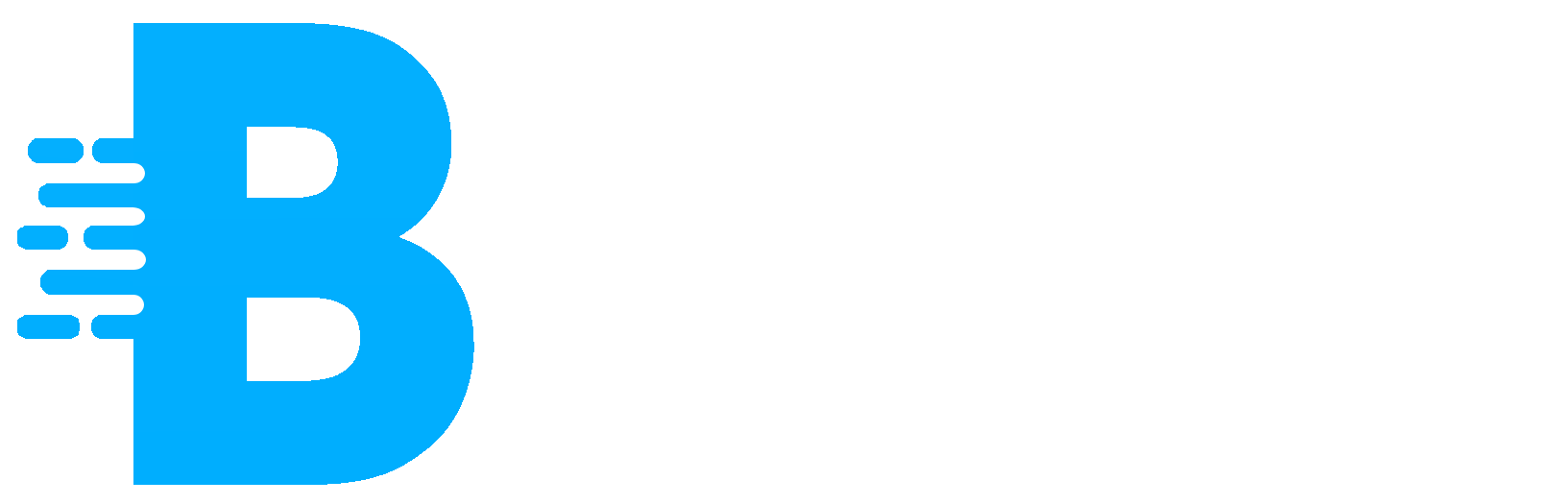 Berentix Logo
